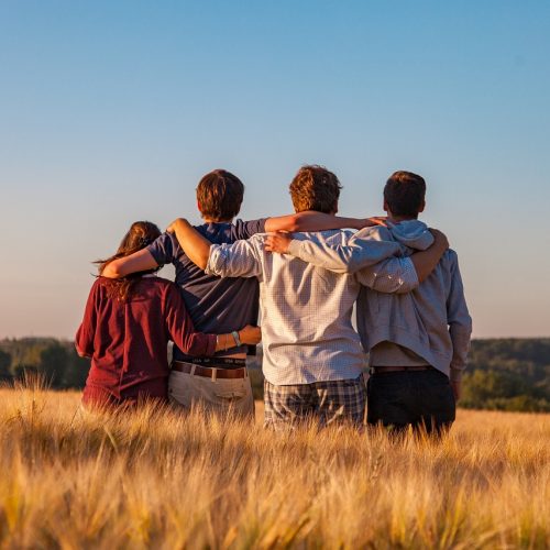 young people, group, friends, nature, friendship, together, summer, landscape, field, outdoors, youth, support, gang, teens, friendship day, friends, friendship, friendship, friendship, friendship, friendship