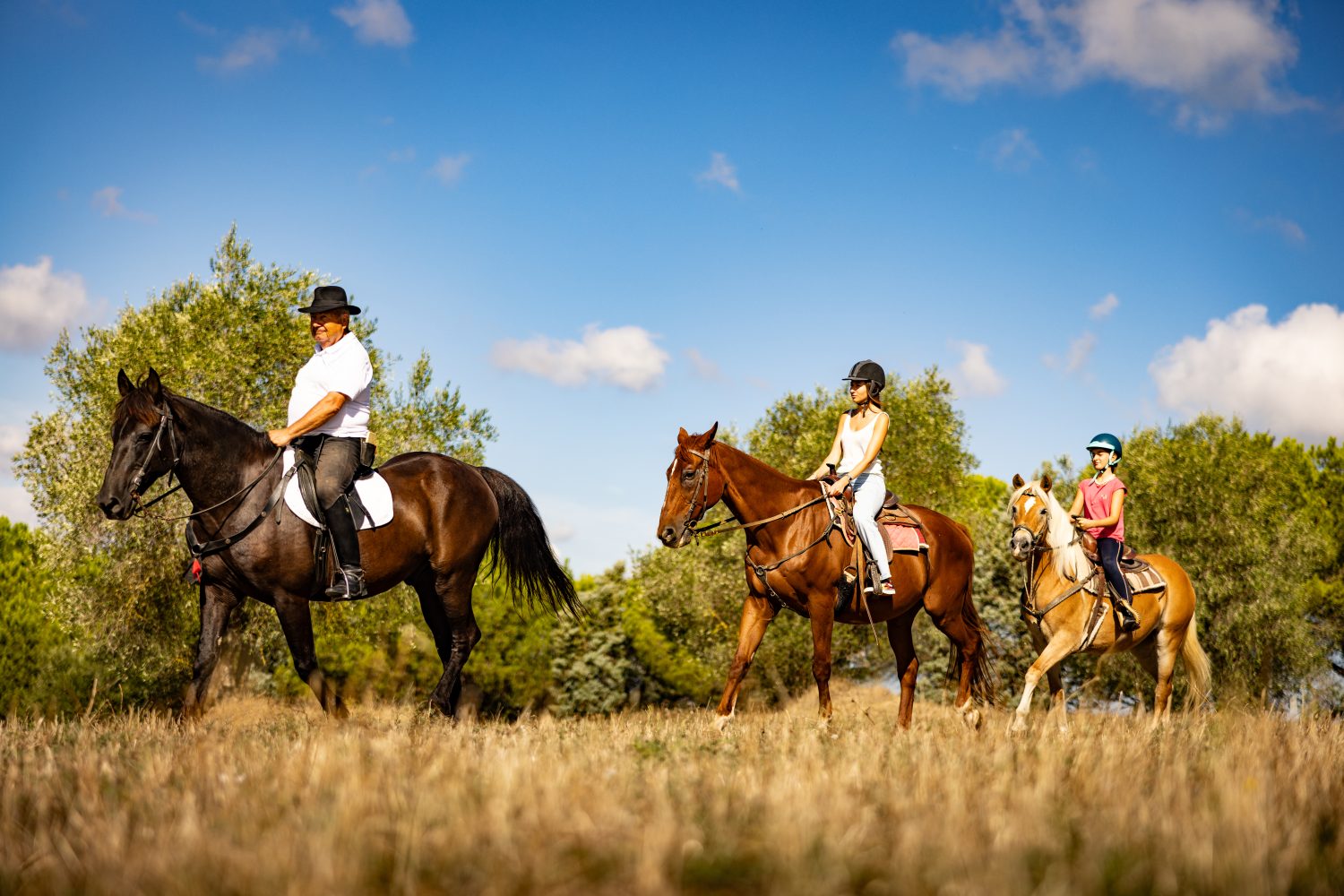 Escursioni a cavallo