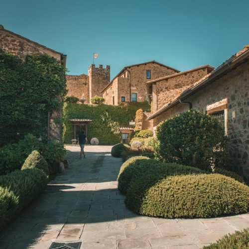 view photography of garden and house during daytime